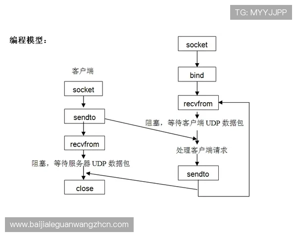 OG Plus真人平台的客户服务体系与玩家反馈机制详尽介绍